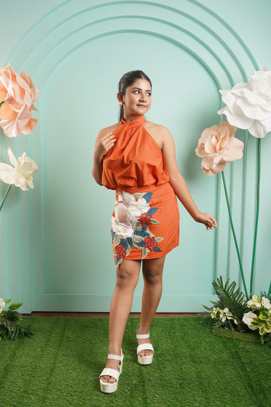 Garden skirt & halter top