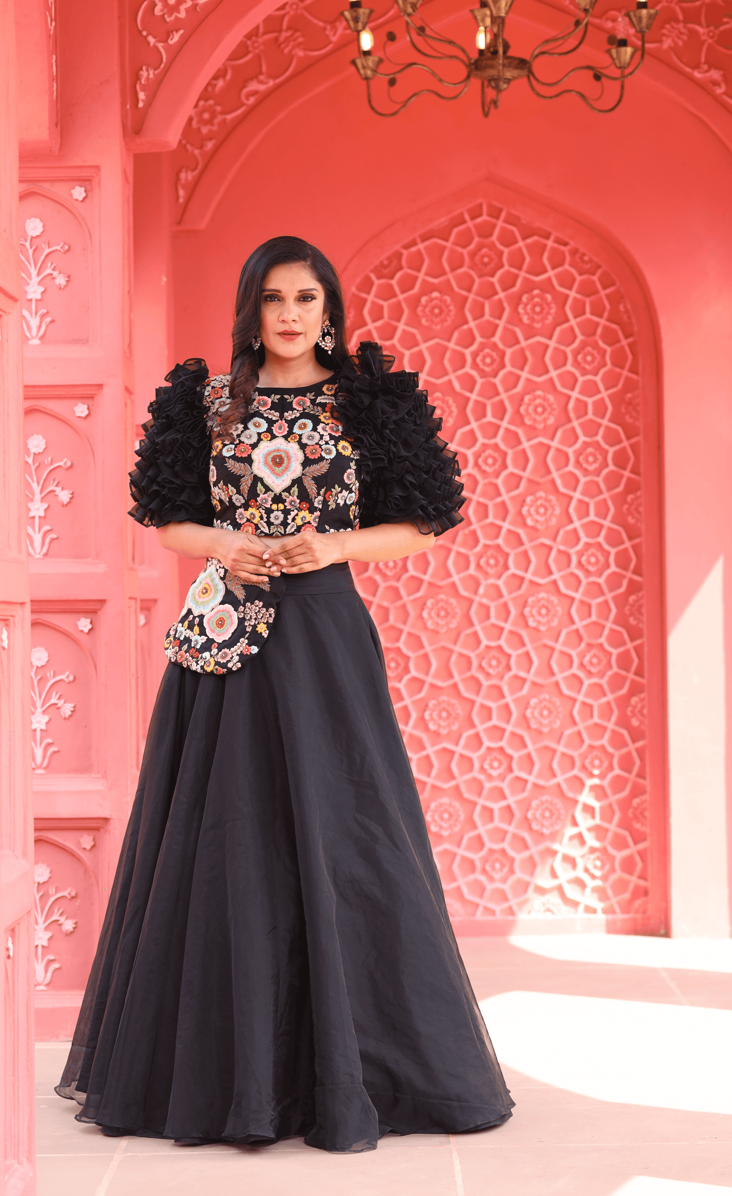 Black Organza Skirt with sleeve detail